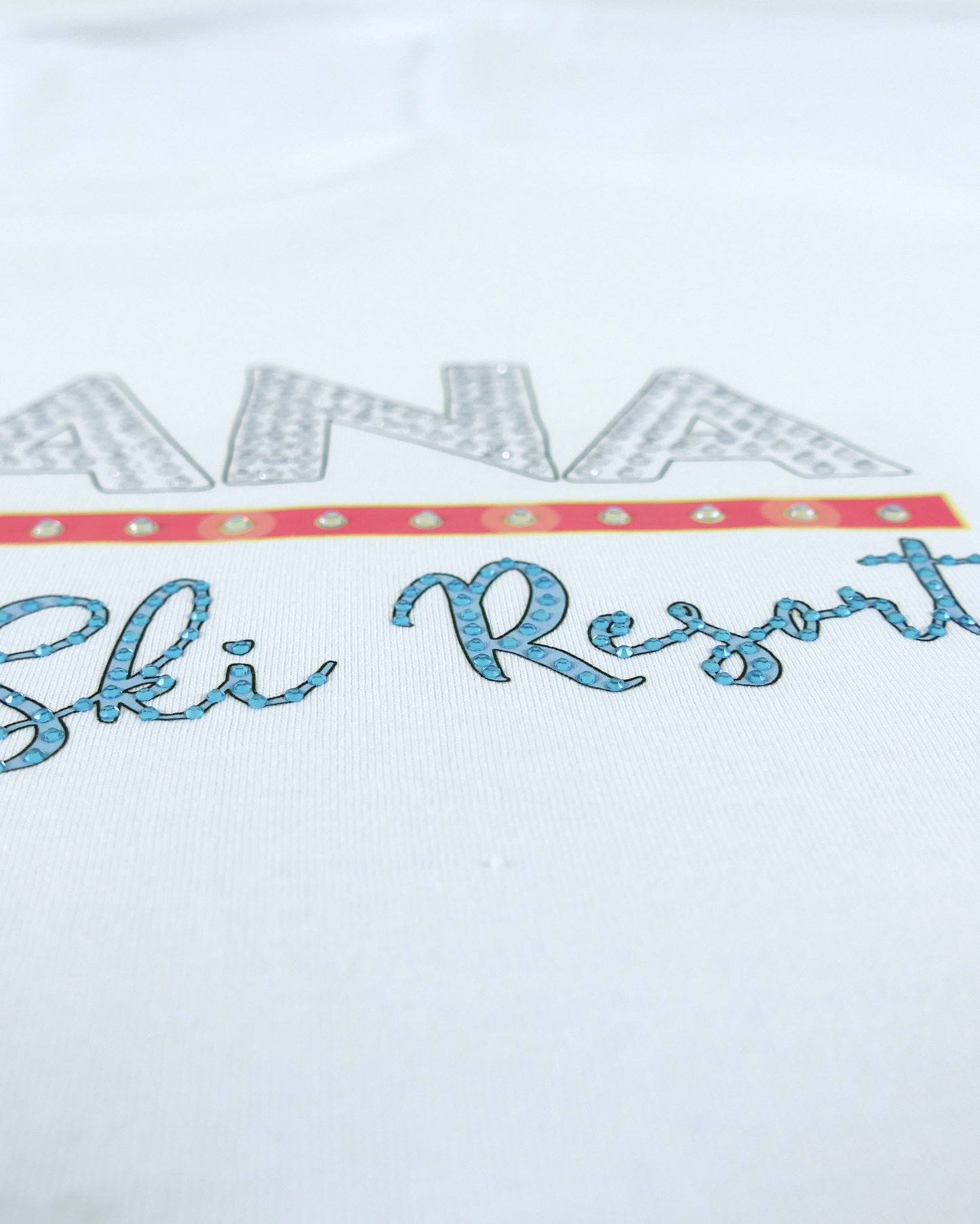 Montana Ski Resort