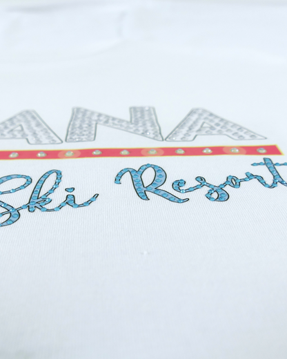 Montana Ski Resort