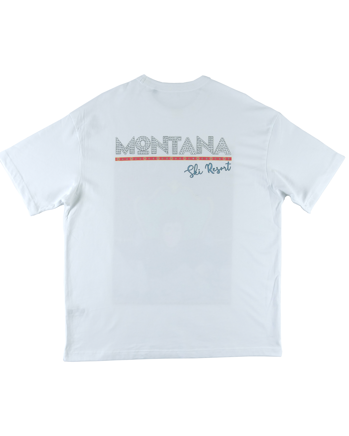 Montana Ski Resort