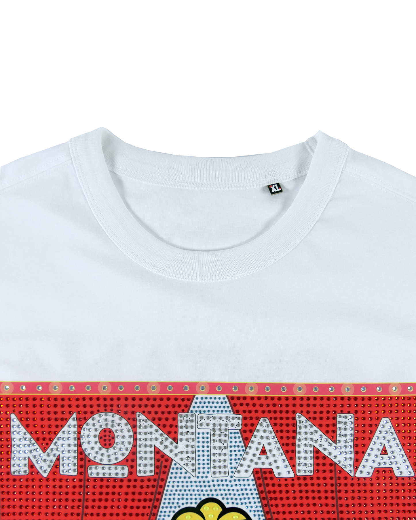 Montana Ski Resort
