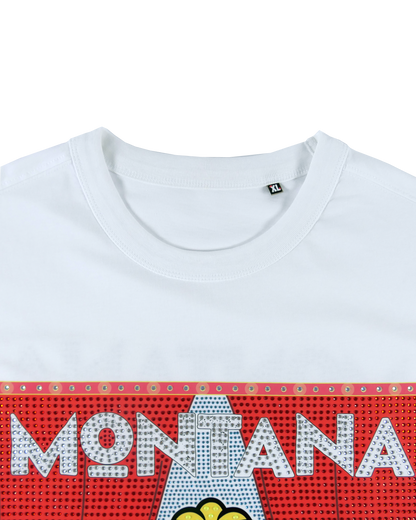 Montana Ski Resort